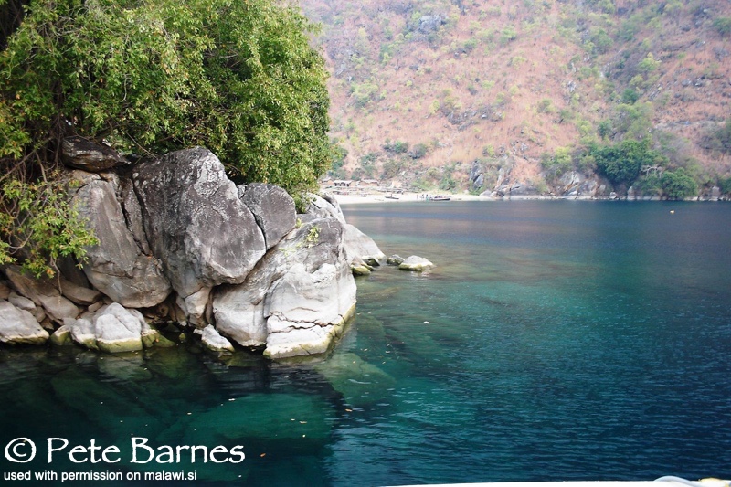 Lion's Cove 10
